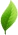 Sticky Message